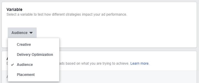 Facebook Lead Gen Campaign Variable Selection - choose creative, delivery optimization, audience, or placement