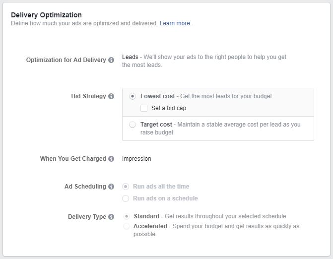 Facebook Lead Generation Delivery Optimization options