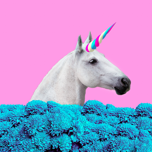 a unicorn as symbol of claims to unique strategy
